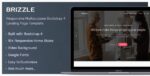 Brizzle – Tema WordPress para Turismo e Hotelaria