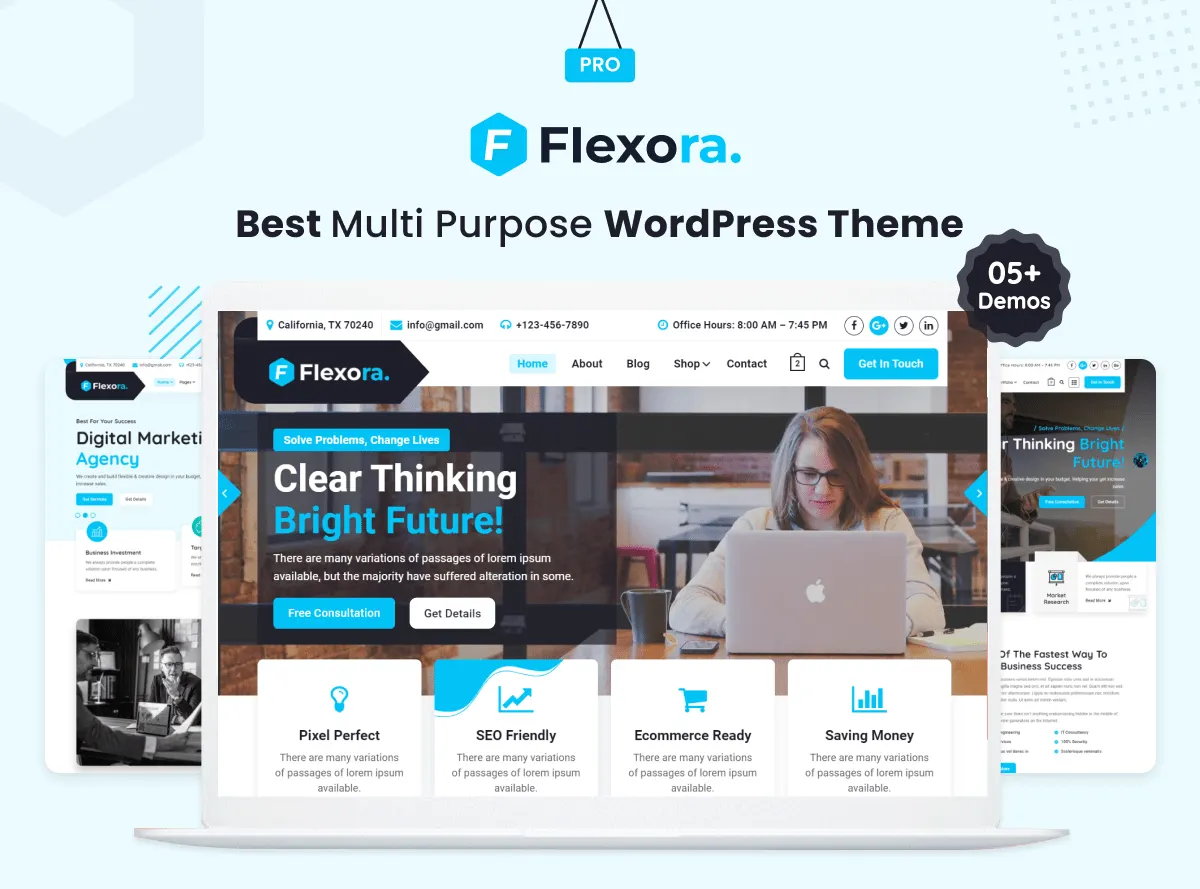 Flexora – Tema WordPress Profissional Flexora – Tema WordPress Profissional - Imagem 1