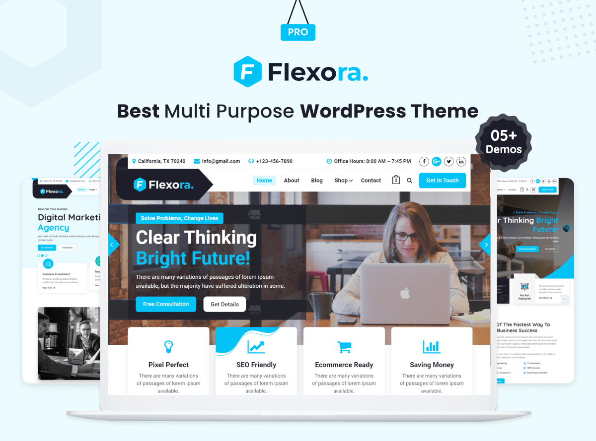 Flexora – Tema WordPress Profissional Flexora – Tema WordPress Profissional - Imagem 1