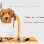 Furr – Tema WordPress para E-commerce