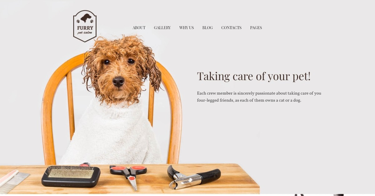 Furr – Tema WordPress para E-commerce Furr – Tema WordPress para E-commerce - Imagem 1
