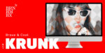Krunk – Tema WordPress para Blog e Revista - Imagem 3